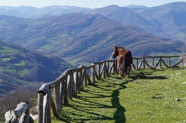 Parque Natural en Asturias